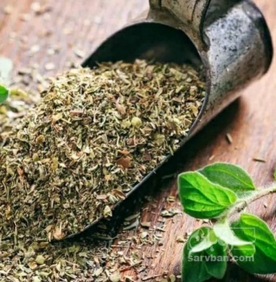 فروش گل آویشن (گیاه‌ دارویی)