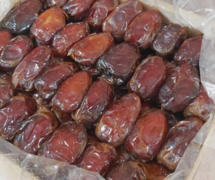 فروش خرما کبکاب خشت عسلی