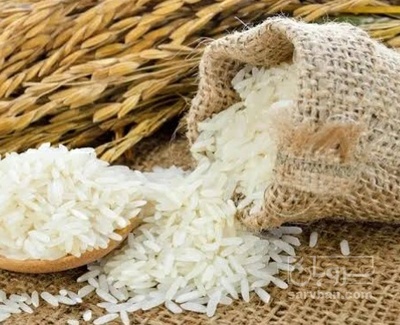 فروش برنج کشت دو امرالهی