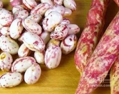 فروش لوبیا چیتی