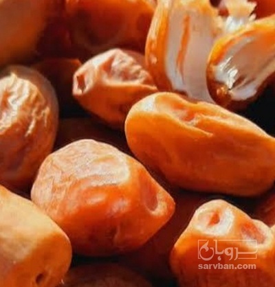 فروش خرما زاهدی