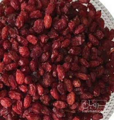 فروش زرشک
