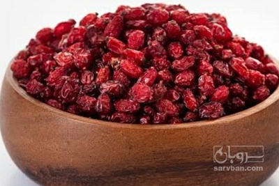 فروش زرشک