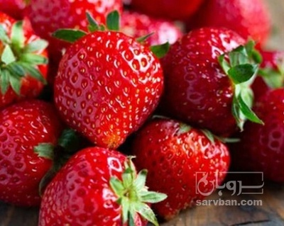 فروش توت فرنگی