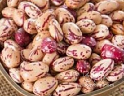 فروش لوبیا چیتی