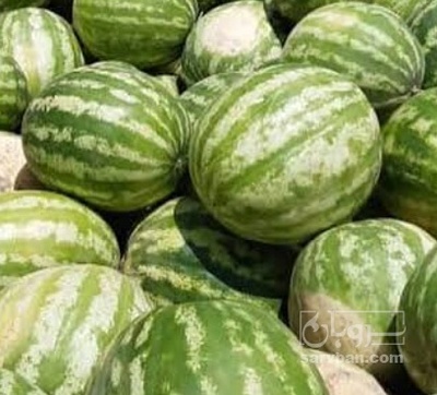 فروش هندوانه