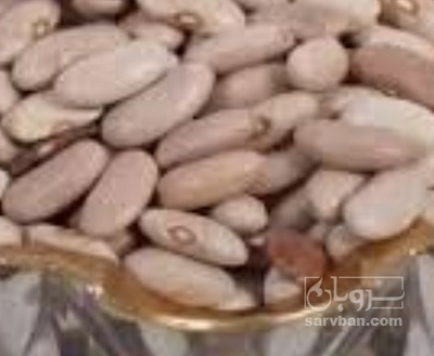 فروش لوبیا سفید
