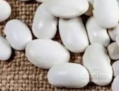 فروش لوبیا سفید