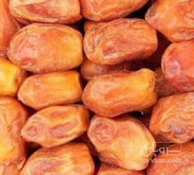فروش خرما زاهدی