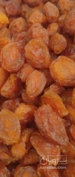 فروش آلو حاج حسنی