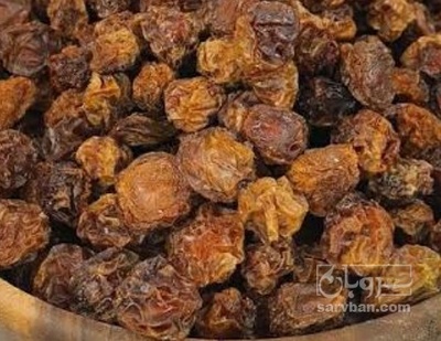 فروش آلوچه