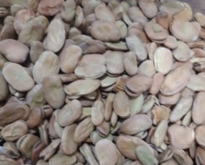 فروش باقلا خشک