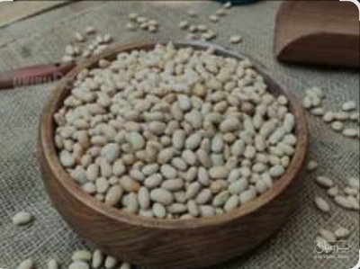 فروش سویا