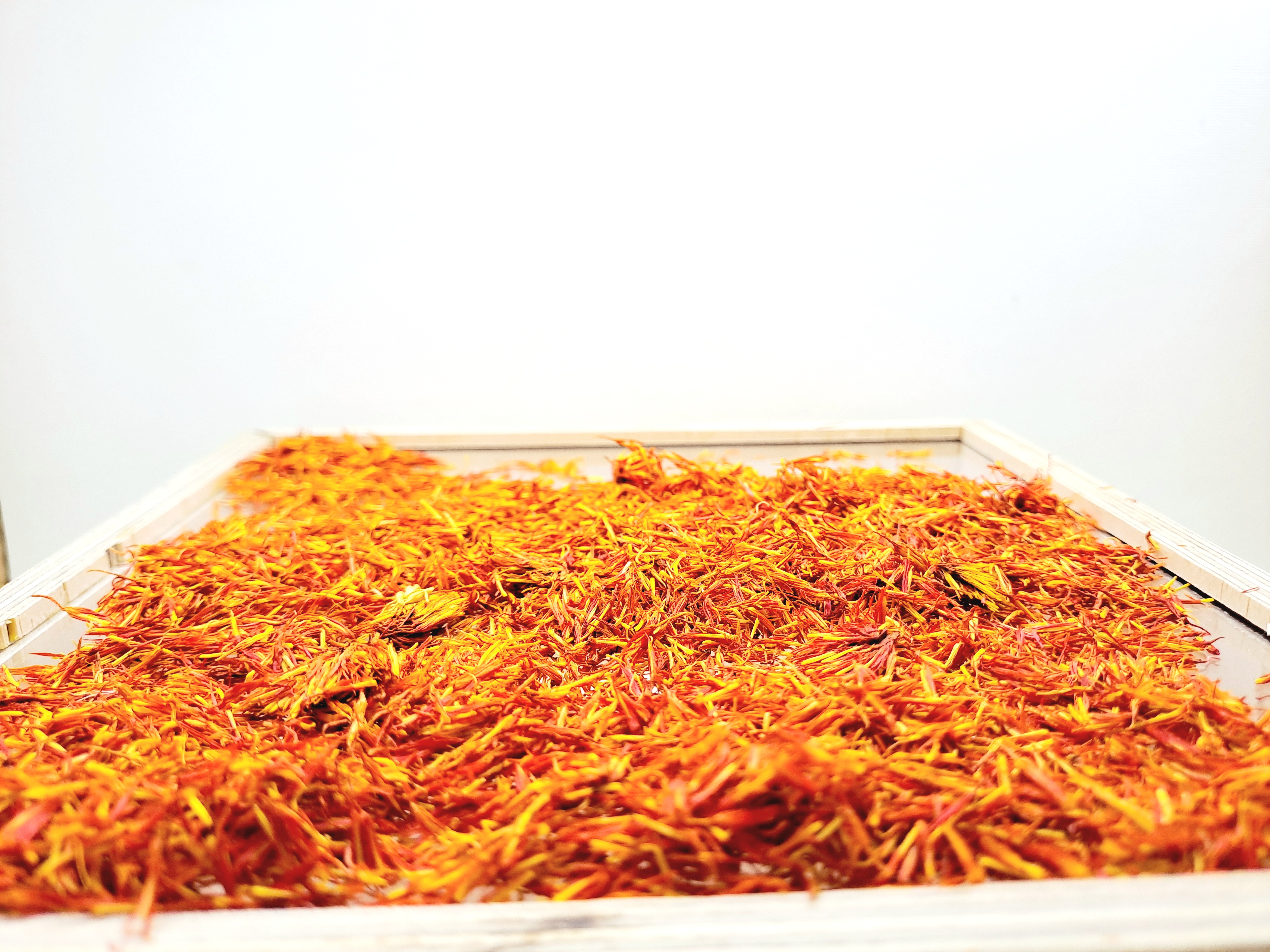 فروش گلرنگ