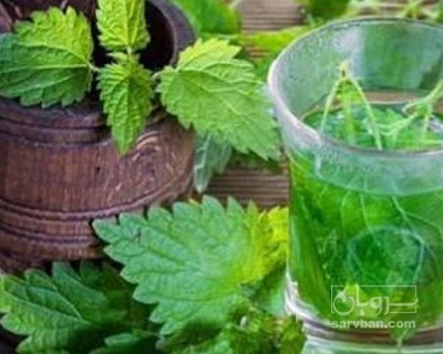 فروش عرق گزنه