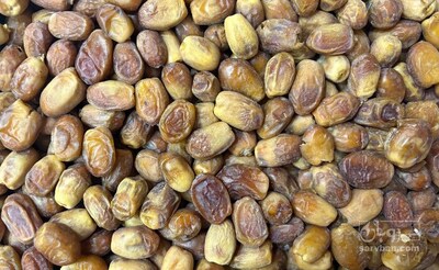 فروش خرما