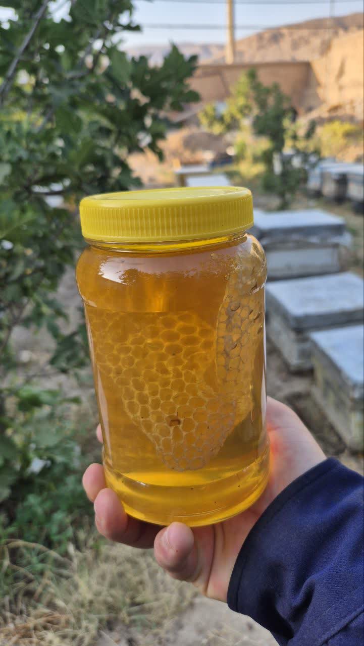 فروش عسل بهاره وکوهی