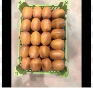 فروش کیوی