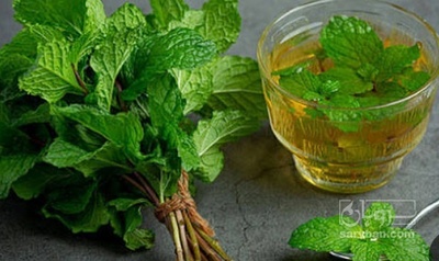 فروش عرق نعناع