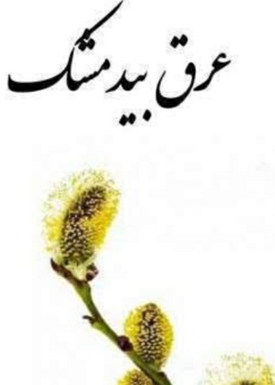 فروش عرق بیدمشک