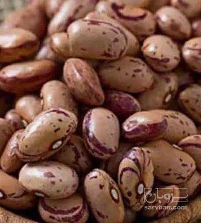 فروش لوبیا چیتی