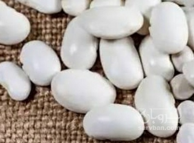 فروش لوبیا سفید