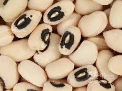 فروش لوبیا چشم بلبلی