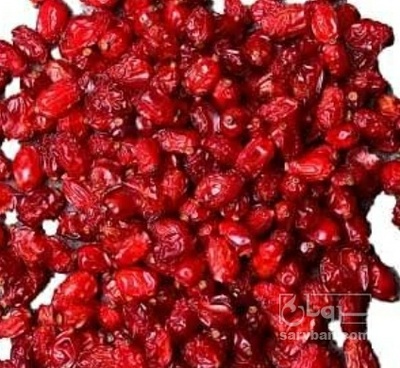 فروش زرشک