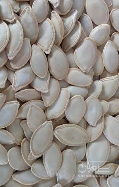 فروش تخمه  کدو بو داده