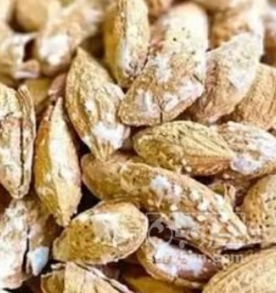 فروش بادام