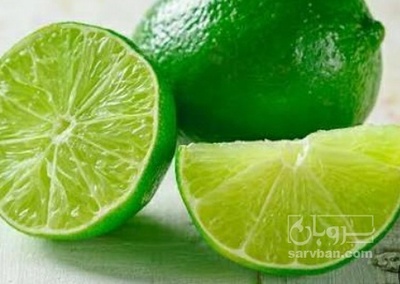 فروش لیمو ترش