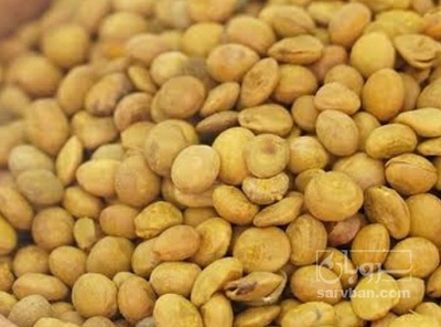 فروش عدس