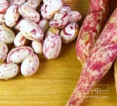 فروش لوبیا چیتی