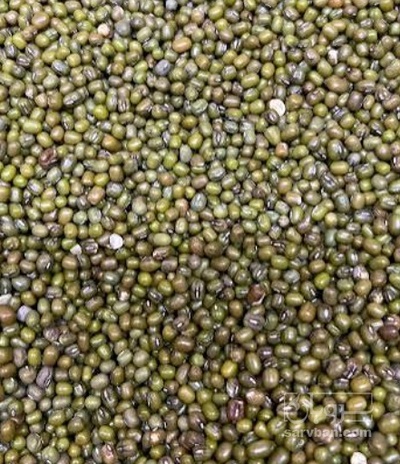 فروش ماش