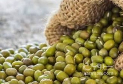 فروش ماش