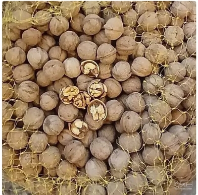 فروش گردو