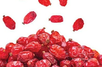 فروش زرشک