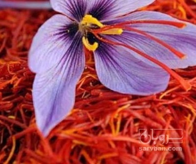 فروش زعفران (گیاه‌ دارویی)