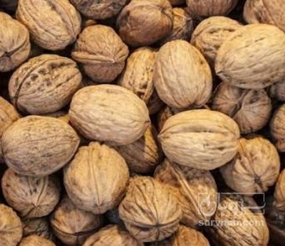 فروش گردو