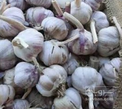 فروش سیر خشک قرمز