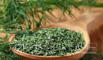 فروش شوید خشک (گیاه‌ دارویی)