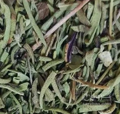 فروش مرزه (گیاه‌ دارویی)