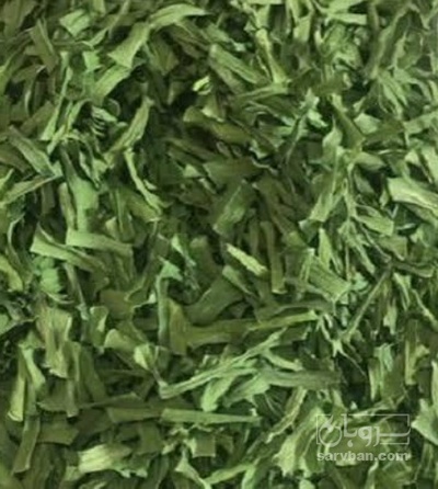 فروش تره خشک