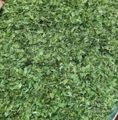 فروش گشنیز خشک