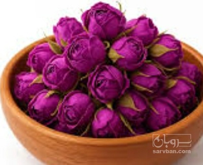 فروش غنچه گل محمدی (گیاه‌ دارویی)