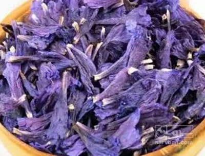 فروش گل گاو زبان - گاوزبان (گیاه‌ دارویی)