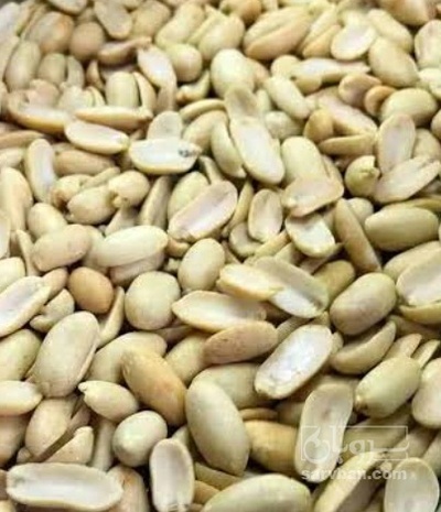 فروش بادام زمینی