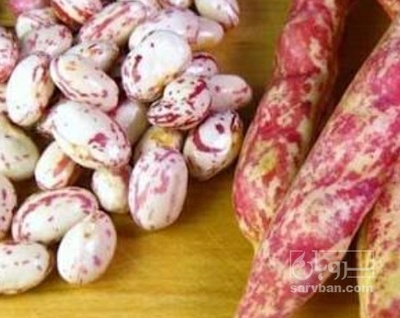 فروش لوبیا چیتی