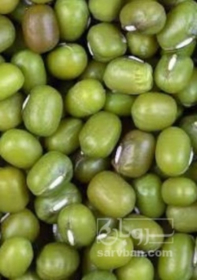 فروش ماش