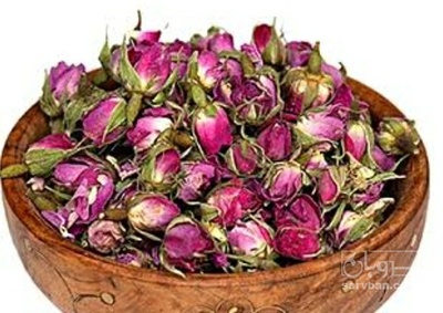 فروش غنچه گل محمدی (گیاه‌ دارویی)